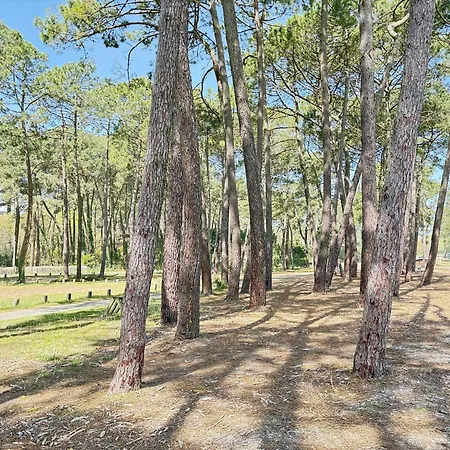 Maison De Proche Du - Fr-1-831-16 בית נופש *