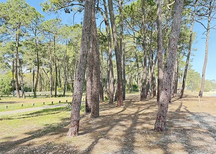 Maison De Proche Du - Fr-1-831-16 Casa vacanze *